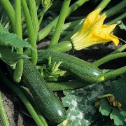 Recipes & Cooking related image